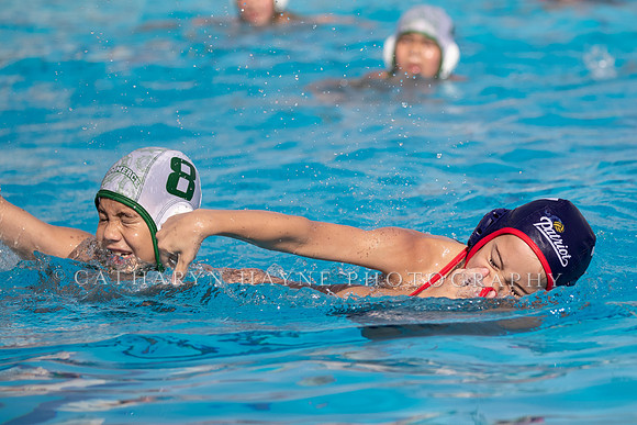 Water Polo: USA Water Polo: Dare to Dream:Patriots vs Commerce