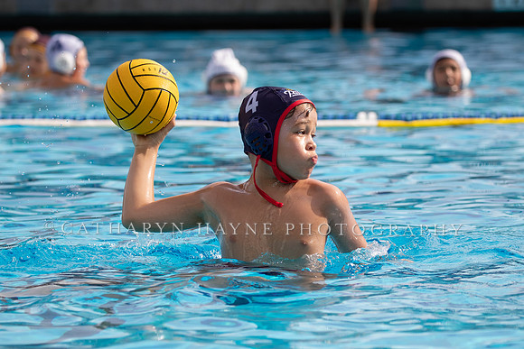 Water Polo: USA Water Polo: Dare to Dream:Patriots vs Commerce