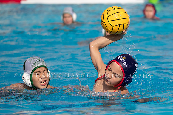 Water Polo: USA Water Polo: Dare to Dream:Patriots vs Commerce