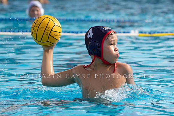 Water Polo: USA Water Polo: Dare to Dream:Patriots vs Commerce