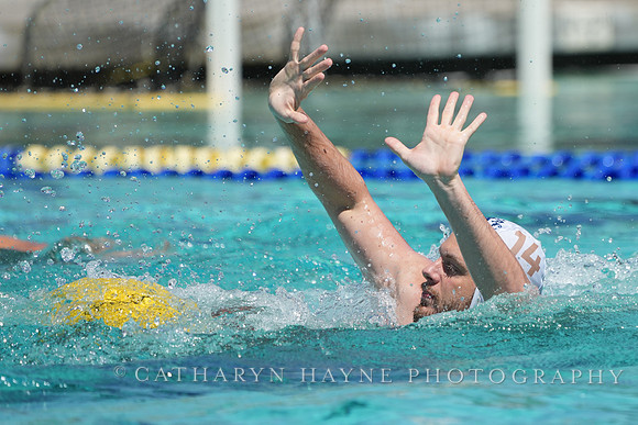 Victor Cabanas (14)