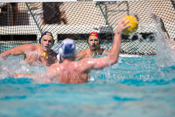 Cal vs UCSB at Mountain Pacific Invitational