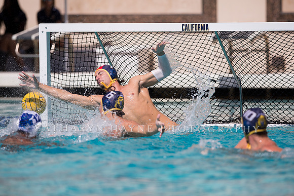 Cal vs UCSB at Mountain Pacific Invitational; Berkeley