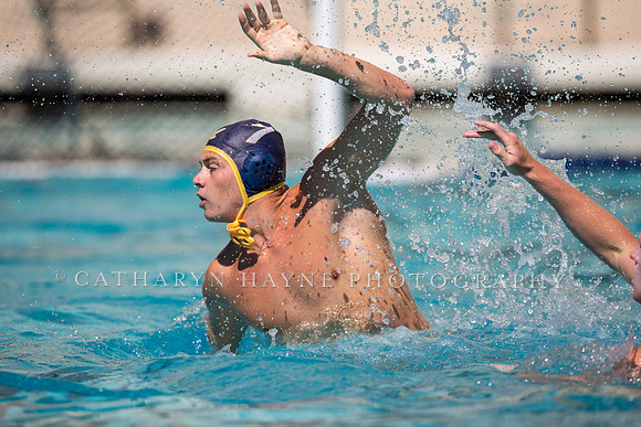 Cal vs UCSB at Mountain Pacific Invitational