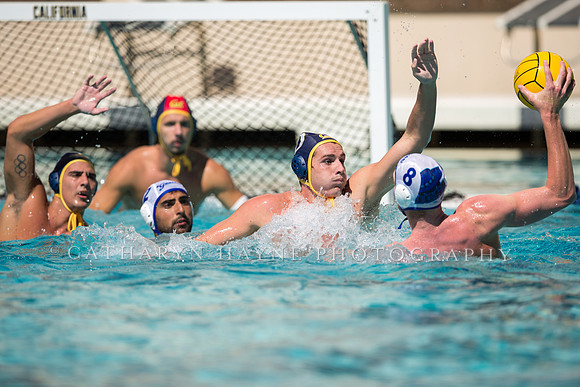 Cal vs UCSB at Mountain Pacific Invitational