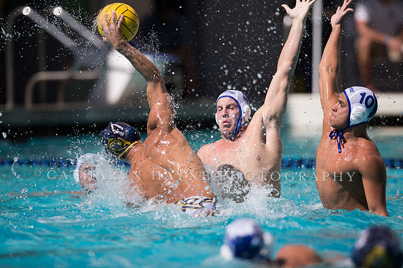 Cal vs UCSB at Mountain Pacific Invitational; Berkeley