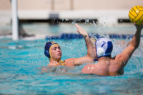 Cal vs UCSB at Mountain Pacific Invitational; Berkeley