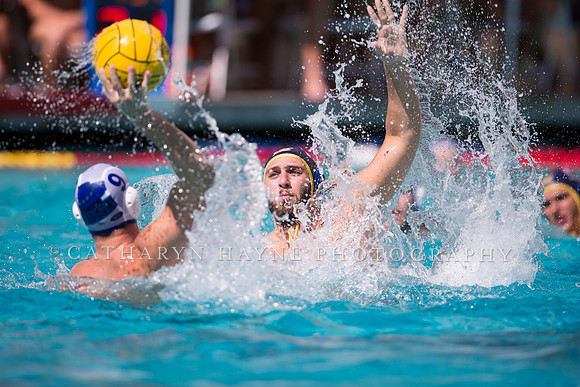 Cal vs UCSB at Mountain Pacific Invitational; Berkeley