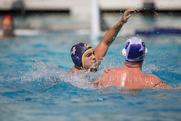 Cal vs UCSB at Mountain Pacific Invitational; Berkeley