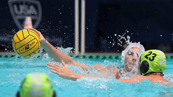 USA Water Polo: National League: Olympic Club vs Davis