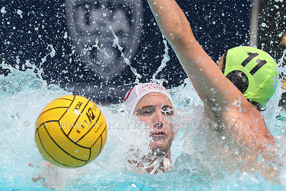 USA Water Polo: National League: Olympic Club vs Davis