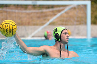 USA Water Polo: National League: Olympic Club vs Davis