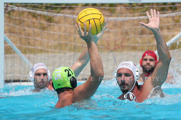 USA Water Polo: National League: Olympic Club vs Davis