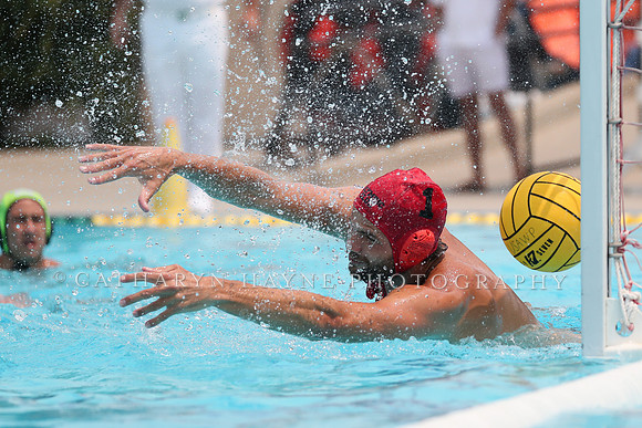 USA Water Polo: National League: Olympic Club vs Davis