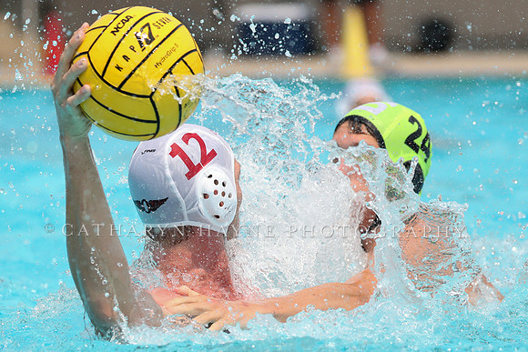 USA Water Polo: National League: Olympic Club vs Davis