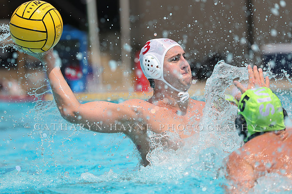USA Water Polo: National League: Olympic Club vs Davis