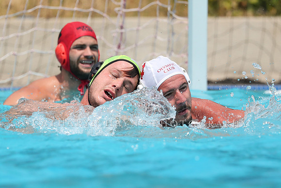 USA Water Polo: National League: Olympic Club vs Davis