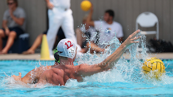 USA Water Polo: National League: Olympic Club vs Davis