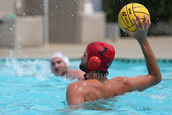 USA Water Polo: National League: Olympic Club vs Davis