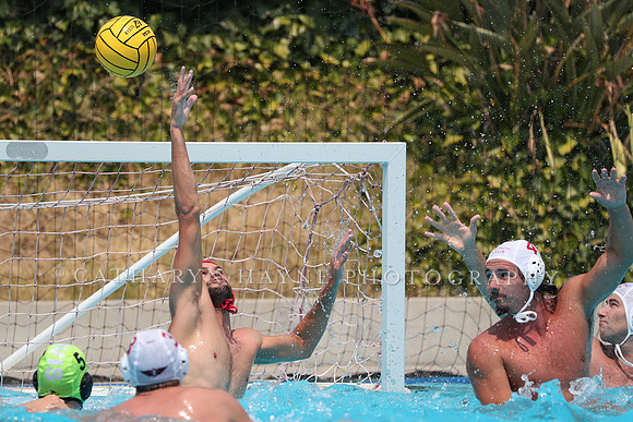 USA Water Polo: National League: Olympic Club vs Davis