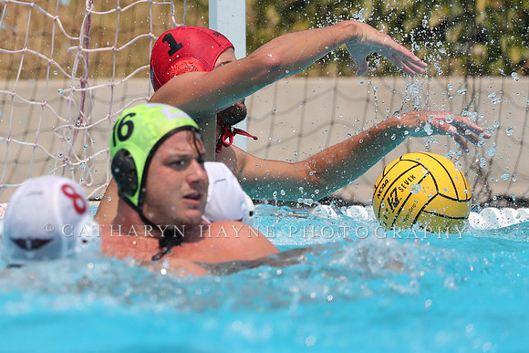 USA Water Polo: National League: Olympic Club vs Davis