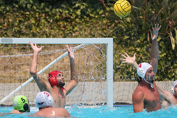 USA Water Polo: National League: Olympic Club vs Davis