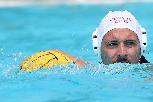 USA Water Polo: National League: Olympic Club vs Davis