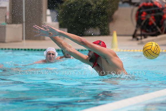 USA Water Polo: National League: Olympic Club vs Davis