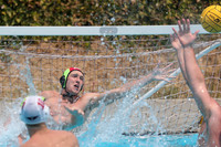 USA Water Polo: National League: Olympic Club vs Davis