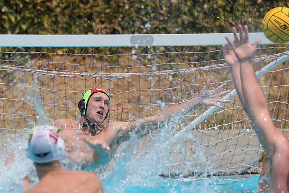 USA Water Polo: National League: Olympic Club vs Davis