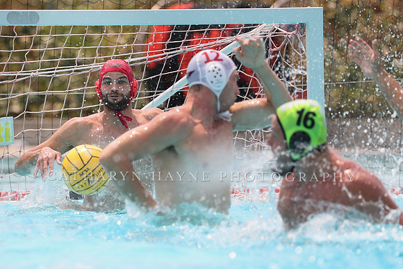USA Water Polo: National League: Olympic Club vs Davis