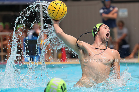 USA Water Polo: National League: Olympic Club vs Davis