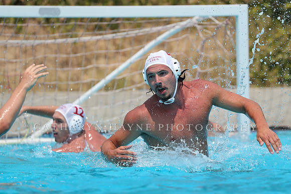 USA Water Polo: National League: Olympic Club vs Davis