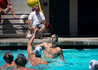 Collegiate Men's Water Polo : Golden Bear Summer Open: California Golden Bears vs Stanford Cardinals