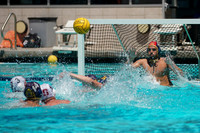Collegiate Men's Water Polo : Golden Bear Summer Open: California Golden Bears vs Stanford Cardinals