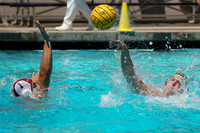 Collegiate Men's Water Polo : Golden Bear Summer Open: California Golden Bears vs Stanford Cardinals