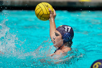 Collegiate Men's Water Polo : Golden Bear Summer Open: California Golden Bears vs Stanford Cardinals