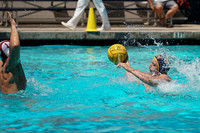 Collegiate Men's Water Polo : Golden Bear Summer Open: California Golden Bears vs Stanford Cardinals