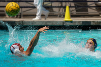 Collegiate Men's Water Polo : Golden Bear Summer Open: California Golden Bears vs Stanford Cardinals