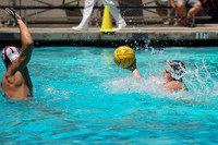 Collegiate Men's Water Polo : Golden Bear Summer Open: California Golden Bears vs Stanford Cardinals