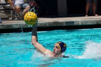 Collegiate Men's Water Polo : Golden Bear Summer Open: California Golden Bears vs Stanford Cardinals