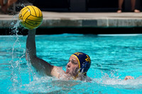 Collegiate Men's Water Polo : Golden Bear Summer Open: California Golden Bears vs Stanford Cardinals