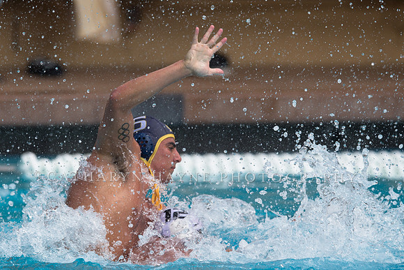 Cal vs LBSU at Stanford Spring Invitational