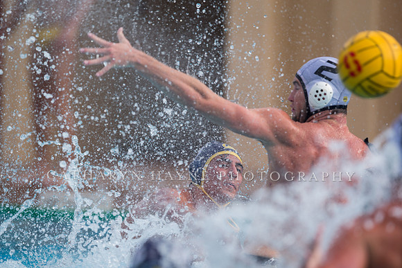 Cal vs LBSU at Stanford Spring Invitational