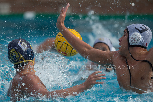 Cal vs LBSU at Stanford Spring Invitational
