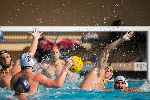 Cal vs LBSU at Stanford Spring Invitational