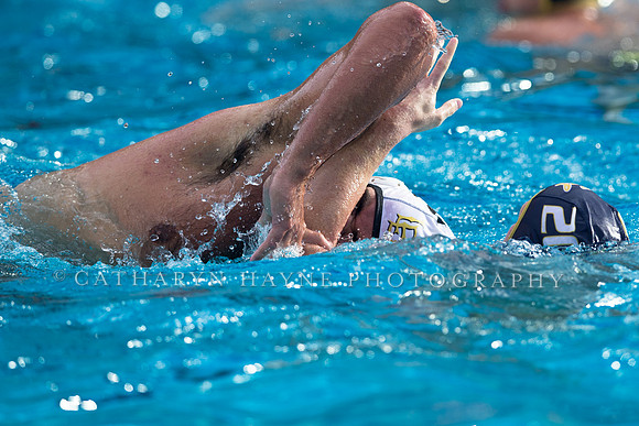 Cal vs LBSU at Stanford Spring Invitational