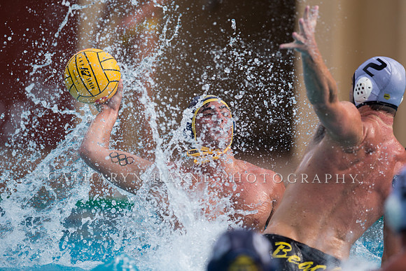 Cal vs LBSU at Stanford Spring Invitational
