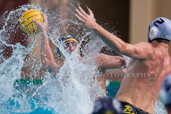 Cal vs LBSU at Stanford Spring Invitational