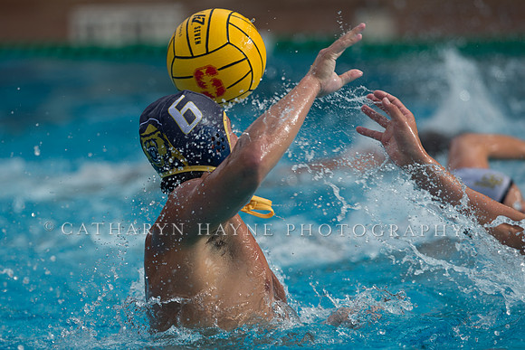 Cal vs LBSU at Stanford Spring Invitational